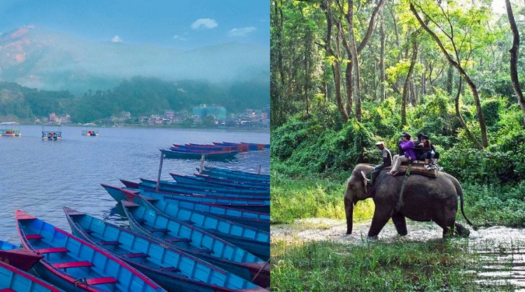 Pokhara-Chitwan Jungle Safari Tour